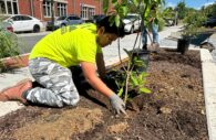 Over 3,000 Native Trees and Plants Added in Landmark Conservation Effort